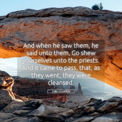 Picture 05 - Luke 17:14 KJV - And when he saw them, he said unto them, Go shew - Bible Verse Picture