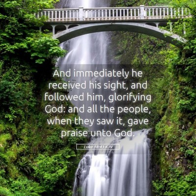 Picture 05 - Luke 18:43 KJV - And immediately he received his sight, and - Bible Verse Picture