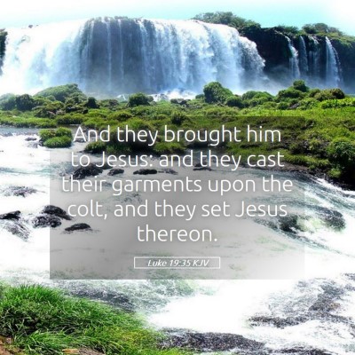 Picture 05 - Luke 19:35 KJV - And they brought him to Jesus: and they cast - Bible Verse Picture