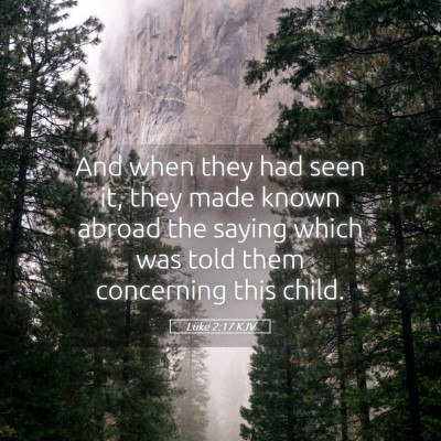 Picture 05 - Luke 2:17 KJV - And when they had seen it, they made known abroad - Bible Verse Picture