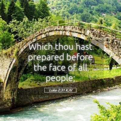 Picture 05 - Luke 2:31 KJV - Which thou hast prepared before the face of all - Bible Verse Picture