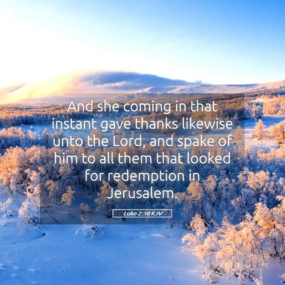 Picture 05 - Luke 2:38 KJV - And she coming in that instant gave thanks - Bible Verse Picture