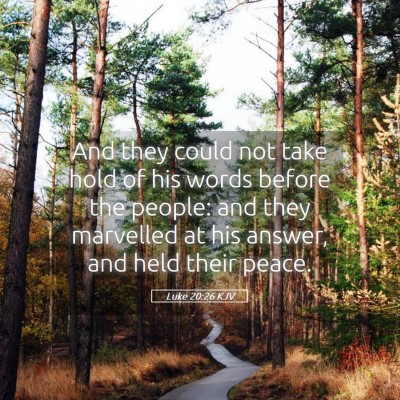 Picture 05 - Luke 20:26 KJV - And they could not take hold of his words before - Bible Verse Picture