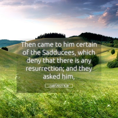 Picture 05 - Luke 20:27 KJV - Then came to him certain of the Sadducees, which - Bible Verse Picture