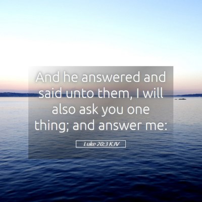 Picture 05 - Luke 20:3 KJV - And he answered and said unto them, I will also - Bible Verse Picture