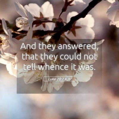 Picture 05 - Luke 20:7 KJV - And they answered, that they could not tell - Bible Verse Picture