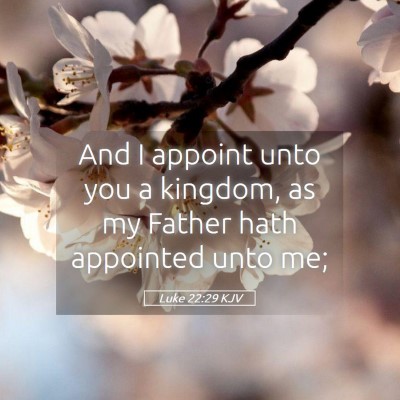 Picture 05 - Luke 22:29 KJV - And I appoint unto you a kingdom, as my Father - Bible Verse Picture