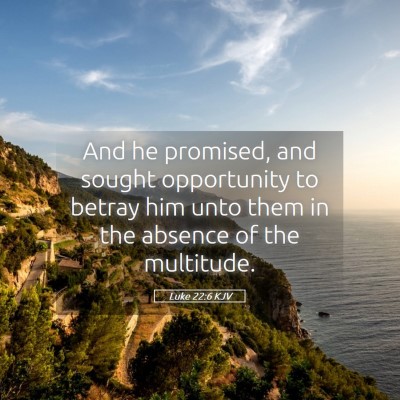 Picture 05 - Luke 22:6 KJV - And he promised, and sought opportunity to betray - Bible Verse Picture