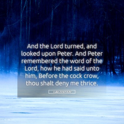Picture 05 - Luke 22:61 KJV - And the Lord turned, and looked upon Peter. And - Bible Verse Picture