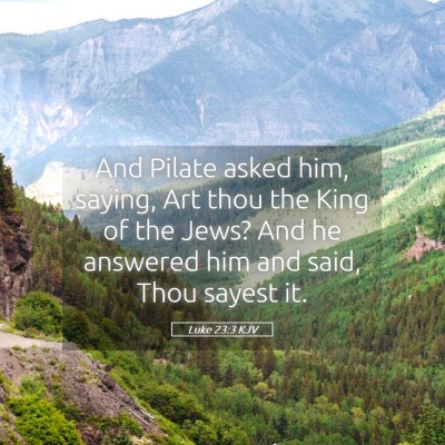 Picture 05 - Luke 23:3 KJV - And Pilate asked him, saying, Art thou the King - Bible Verse Picture