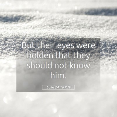 Picture 05 - Luke 24:16 KJV - But their eyes were holden that they should not - Bible Verse Picture