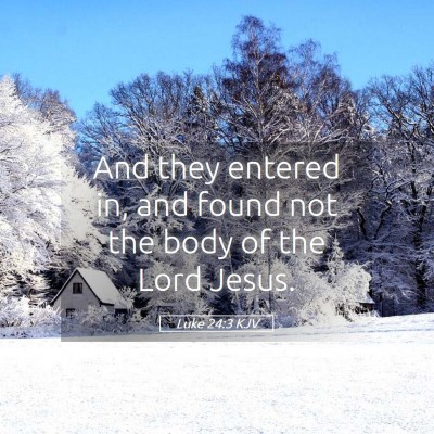 Picture 05 - Luke 24:3 KJV - And they entered in, and found not the body of - Bible Verse Picture