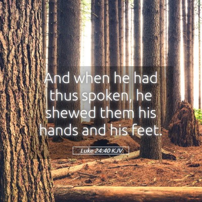 Picture 05 - Luke 24:40 KJV - And when he had thus spoken, he shewed them his - Bible Verse Picture