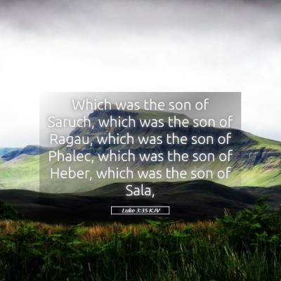 Picture 05 - Luke 3:35 KJV - Which was the son of Saruch, which was the son of - Bible Verse Picture