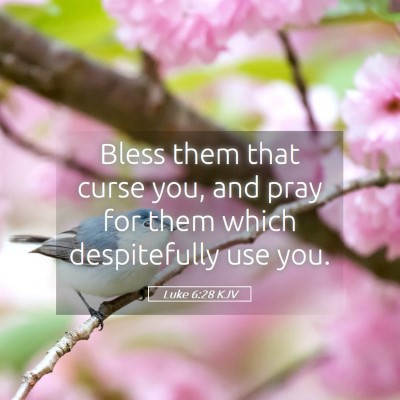 Picture 05 - Luke 6:28 KJV - Bless them that curse you, and pray for them - Bible Verse Picture