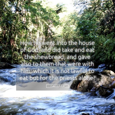 Picture 05 - Luke 6:4 KJV - How he went into the house of God, and did take - Bible Verse Picture