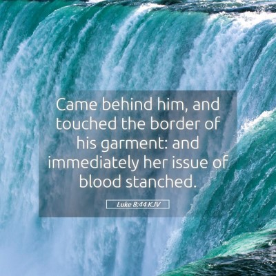 Picture 05 - Luke 8:44 KJV - Came behind him, and touched the border of his - Bible Verse Picture