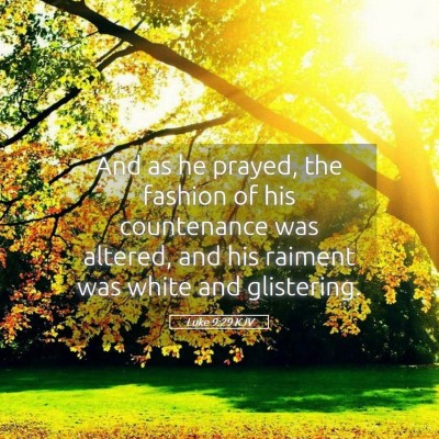 Picture 05 - Luke 9:29 KJV - And as he prayed, the fashion of his countenance - Bible Verse Picture