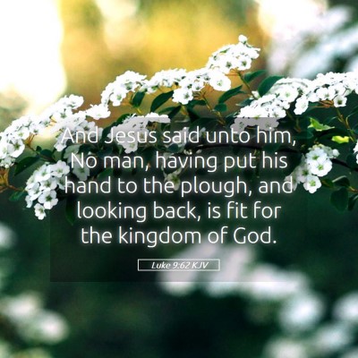 Picture 05 - Luke 9:62 KJV - And Jesus said unto him, No man, having put his - Bible Verse Picture