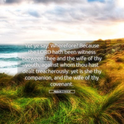 Picture 05 - Malachi 2:14 KJV - Yet ye say, Wherefore? Because the LORD hath been - Bible Verse Picture