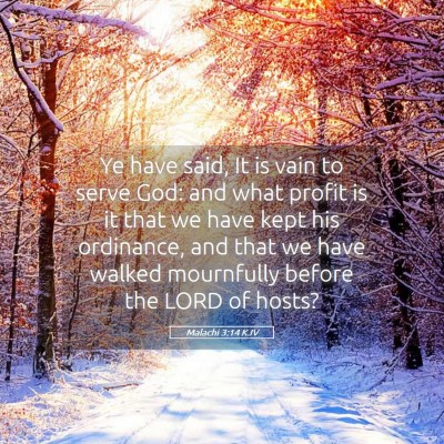 Picture 05 - Malachi 3:14 KJV - Ye have said, It is vain to serve God: and what - Bible Verse Picture