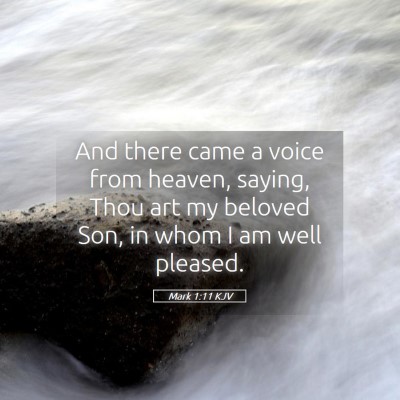 Picture 05 - Mark 1:11 KJV - And there came a voice from heaven, saying, Thou - Bible Verse Picture