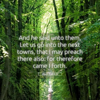 Picture 05 - Mark 1:38 KJV - And he said unto them, Let us go into the next - Bible Verse Picture