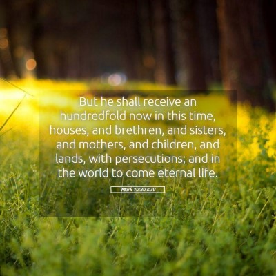 Picture 05 - Mark 10:30 KJV - But he shall receive an hundredfold now in this - Bible Verse Picture