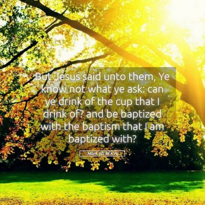 Picture 05 - Mark 10:38 KJV - But Jesus said unto them, Ye know not what ye - Bible Verse Picture
