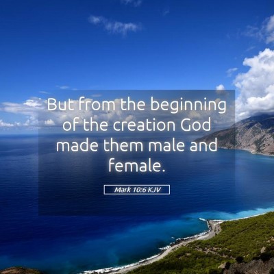 Picture 05 - Mark 10:6 KJV - But from the beginning of the creation God made - Bible Verse Picture
