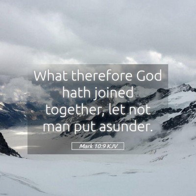 Picture 05 - Mark 10:9 KJV - What therefore God hath joined together, let not - Bible Verse Picture