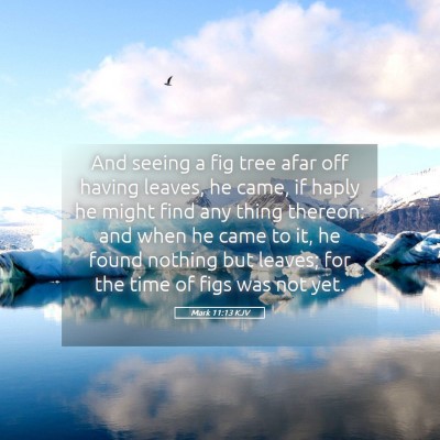 Picture 05 - Mark 11:13 KJV - And seeing a fig tree afar off having leaves, he - Bible Verse Picture