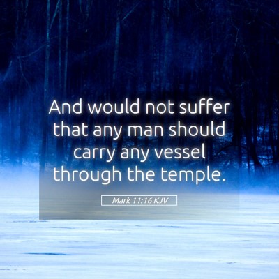 Picture 05 - Mark 11:16 KJV - And would not suffer that any man should carry - Bible Verse Picture