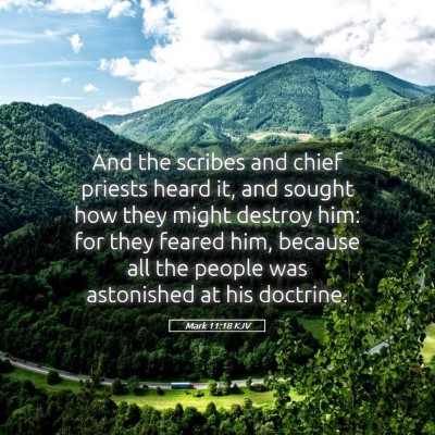Picture 05 - Mark 11:18 KJV - And the scribes and chief priests heard it, and - Bible Verse Picture