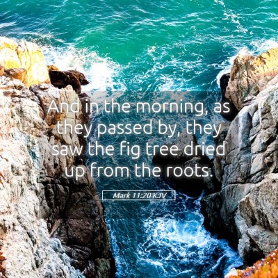 Picture 05 - Mark 11:20 KJV - And in the morning, as they passed by, they saw - Bible Verse Picture