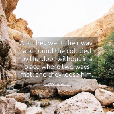 Picture 05 - Mark 11:4 KJV - And they went their way, and found the colt tied - Bible Verse Picture