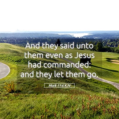 Picture 05 - Mark 11:6 KJV - And they said unto them even as Jesus had - Bible Verse Picture