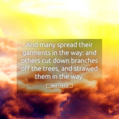 Picture 05 - Mark 11:8 KJV - And many spread their garments in the way: and - Bible Verse Picture