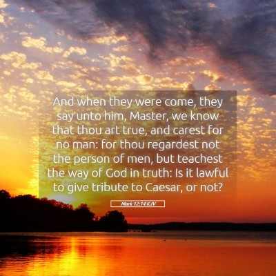 Picture 05 - Mark 12:14 KJV - And when they were come, they say unto him, - Bible Verse Picture