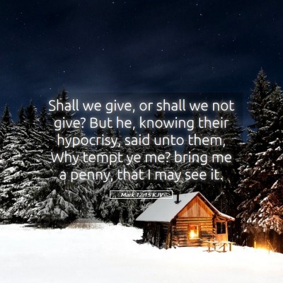Picture 05 - Mark 12:15 KJV - Shall we give, or shall we not give? But he, - Bible Verse Picture