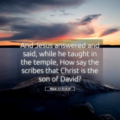 Picture 05 - Mark 12:35 KJV - And Jesus answered and said, while he taught in - Bible Verse Picture