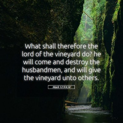 Picture 05 - Mark 12:9 KJV - What shall therefore the lord of the vineyard do? - Bible Verse Picture