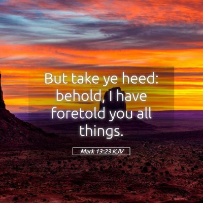 Picture 05 - Mark 13:23 KJV - But take ye heed: behold, I have foretold you all - Bible Verse Picture