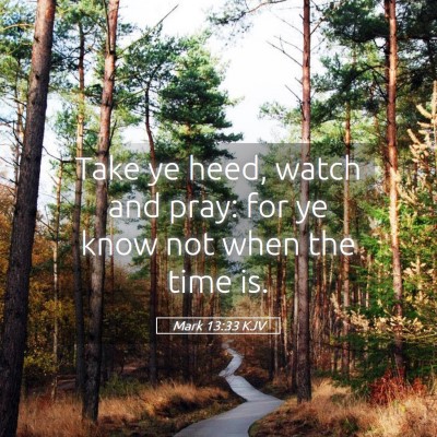 Picture 05 - Mark 13:33 KJV - Take ye heed, watch and pray: for ye know not - Bible Verse Picture