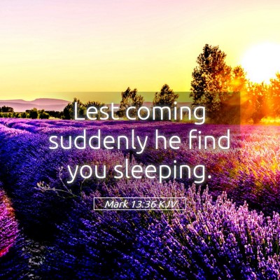 Picture 05 - Mark 13:36 KJV - Lest coming suddenly he find you - Bible Verse Picture