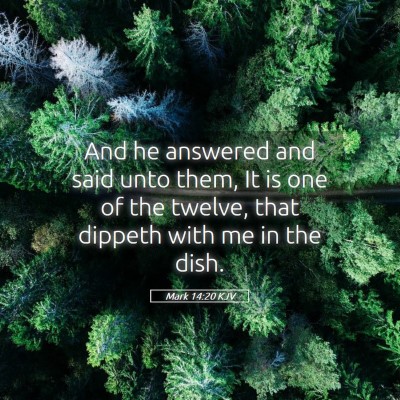 Picture 05 - Mark 14:20 KJV - And he answered and said unto them, It is one of - Bible Verse Picture