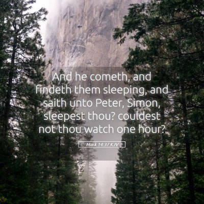 Picture 05 - Mark 14:37 KJV - And he cometh, and findeth them sleeping, and - Bible Verse Picture
