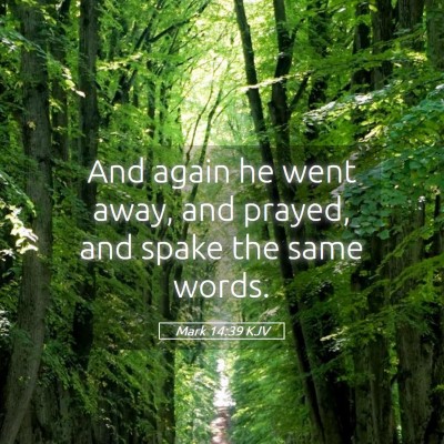 Picture 05 - Mark 14:39 KJV - And again he went away, and prayed, and spake the - Bible Verse Picture