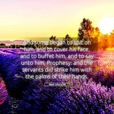 Picture 05 - Mark 14:65 KJV - And some began to spit on him, and to cover his - Bible Verse Picture