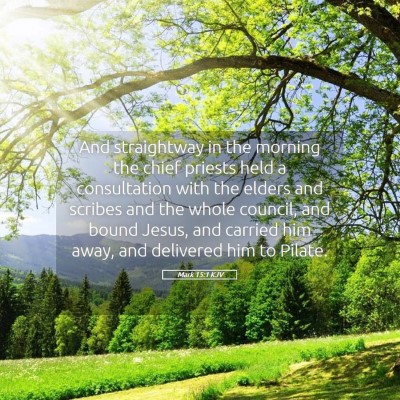 Picture 05 - Mark 15:1 KJV - And straightway in the morning the chief priests - Bible Verse Picture